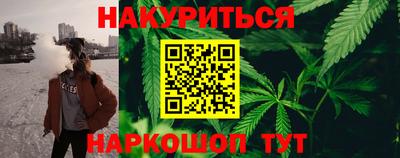 гидра Ставрополь