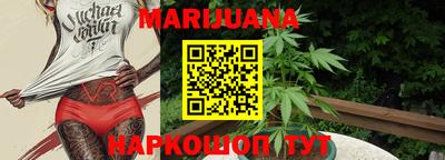 гидра Ставрополь