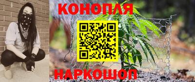 гидра Ставрополь