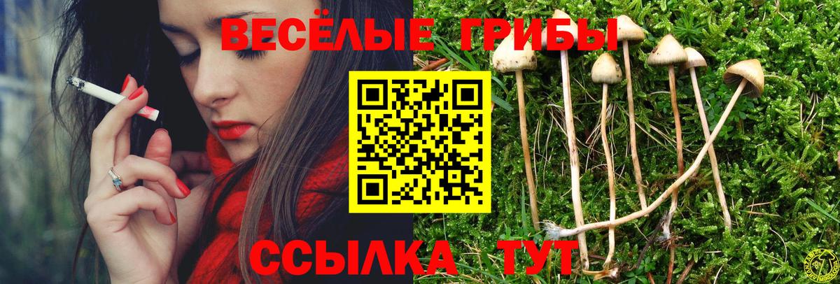Галлюциногенные грибы Cubensis Прокопьевск
